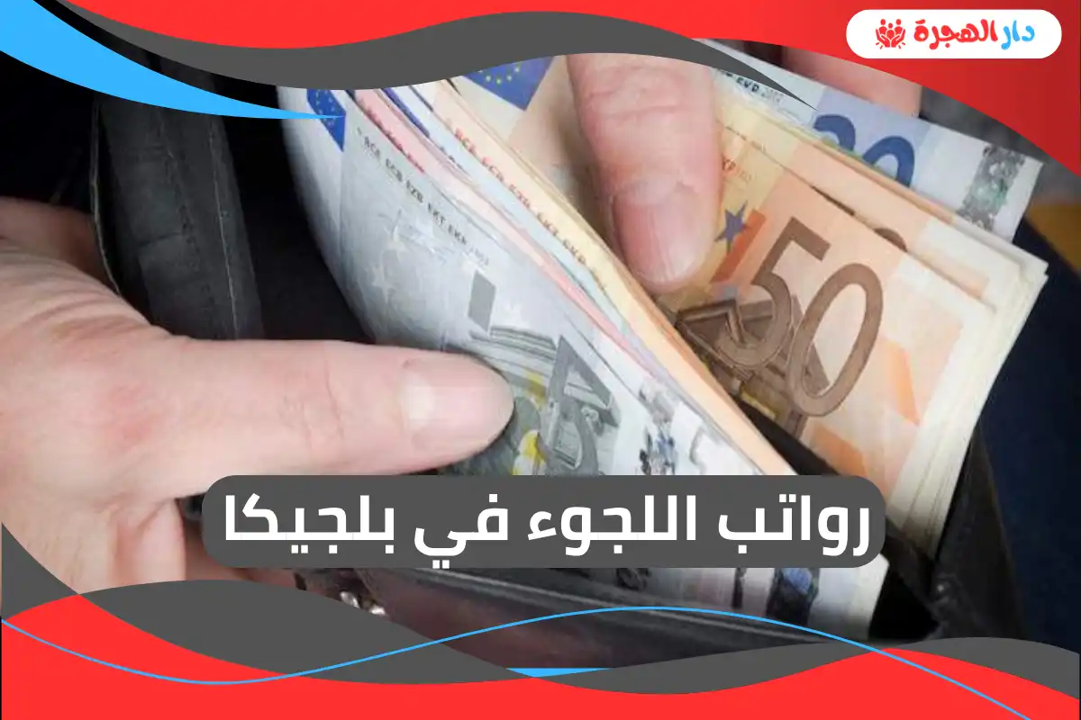 رواتب اللجوء في بلجيكا